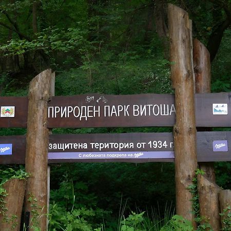 Pinus Villas Lodge With Private Jacuzzi & Phyto-Sauna Retreat Zheleznitsa Екстер'єр фото