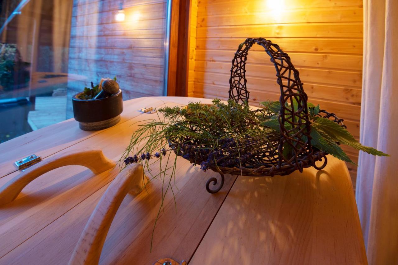 Pinus Villas Lodge With Private Jacuzzi & Phyto-Sauna Retreat Zheleznitsa Екстер'єр фото
