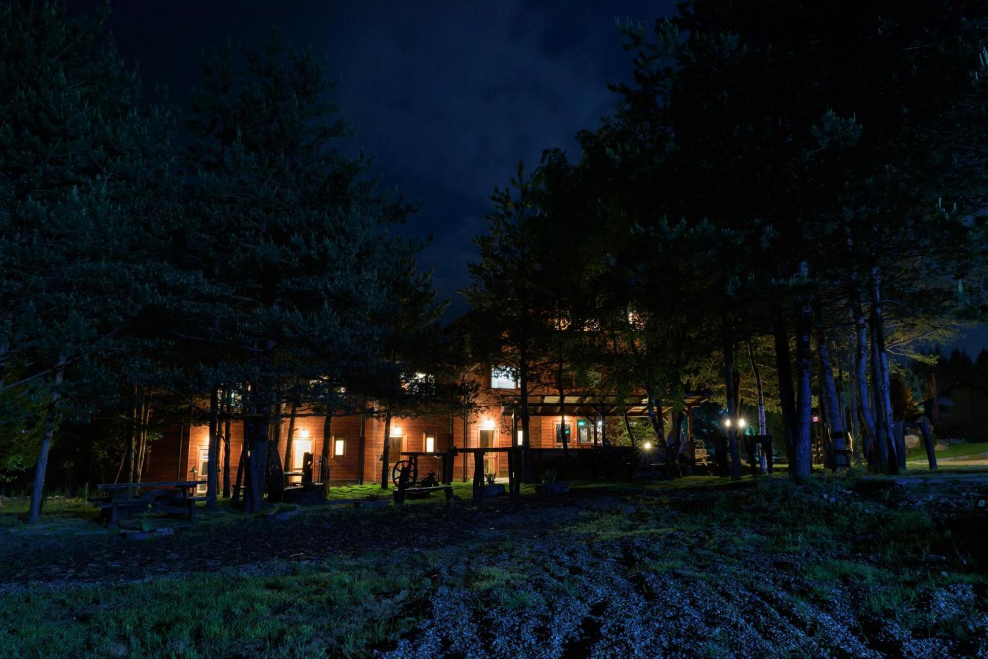 Pinus Villas Lodge With Private Jacuzzi & Phyto-Sauna Retreat Zheleznitsa Екстер'єр фото