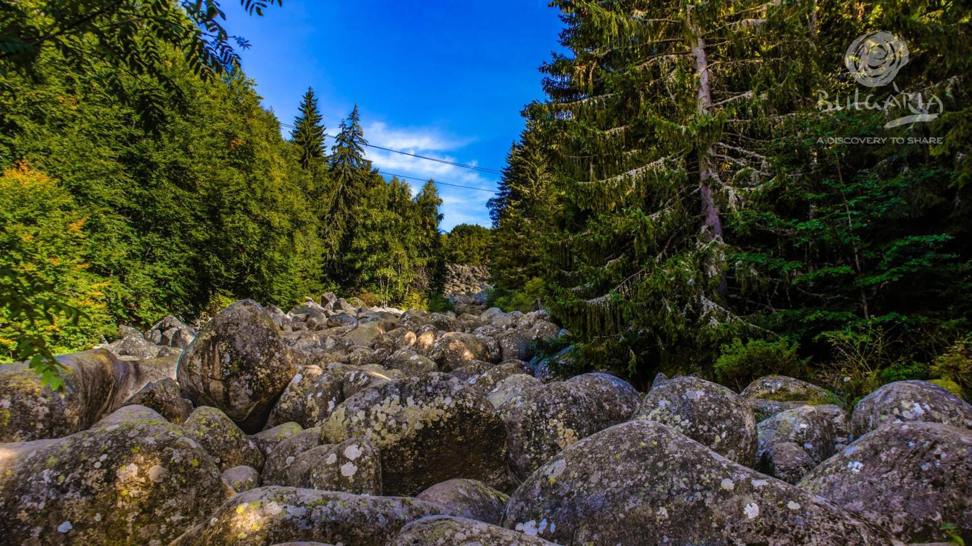 Pinus Villas Lodge With Private Jacuzzi & Phyto-Sauna Retreat Zheleznitsa Екстер'єр фото