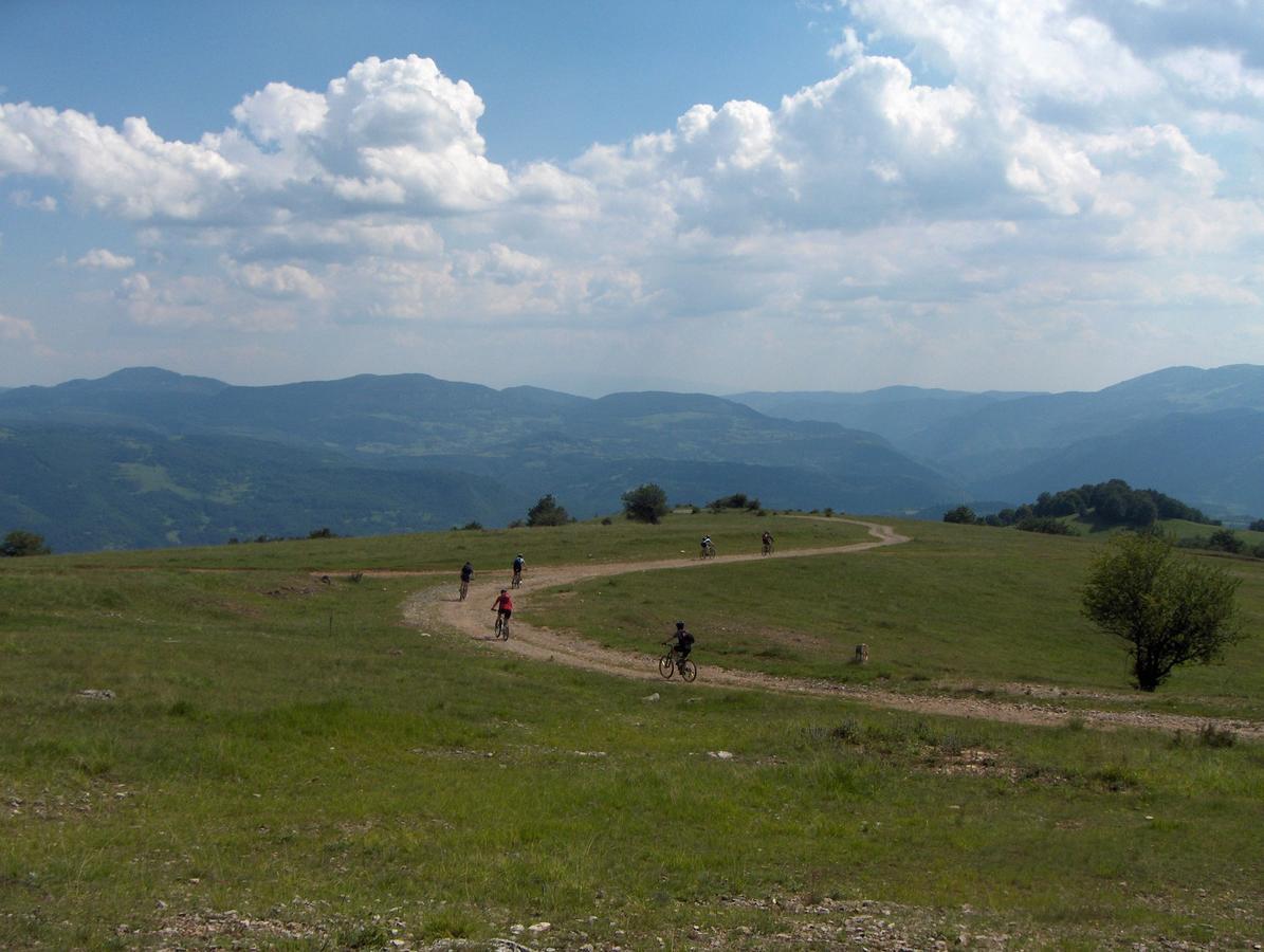Pinus Villas Lodge With Private Jacuzzi & Phyto-Sauna Retreat Zheleznitsa Екстер'єр фото